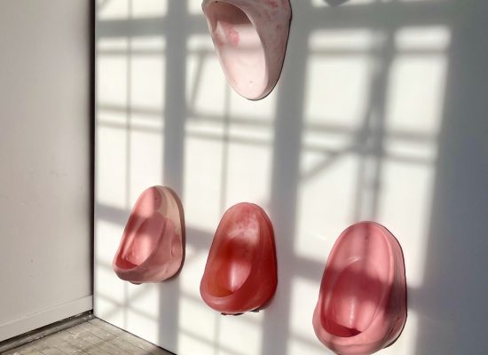 Irene Buchan - Glasgow School of Art - Pink Urinals jpeg